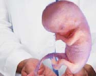 Из руки мужчины родился эмбрион