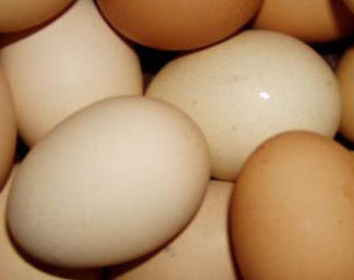 На ярмарке птицеводческой продукции на продажу было выставлено 500 тыс.яиц