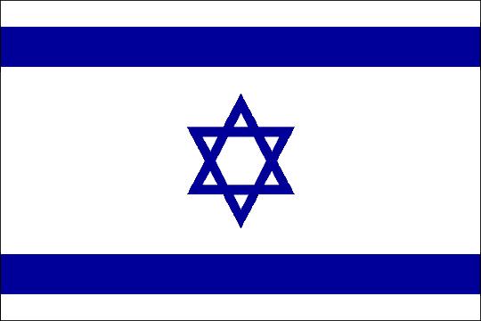 Глава Еврейской общины Армении: «Факт использования флага Израиля на митинге сторонников Тер-Петросяна - провокация!»