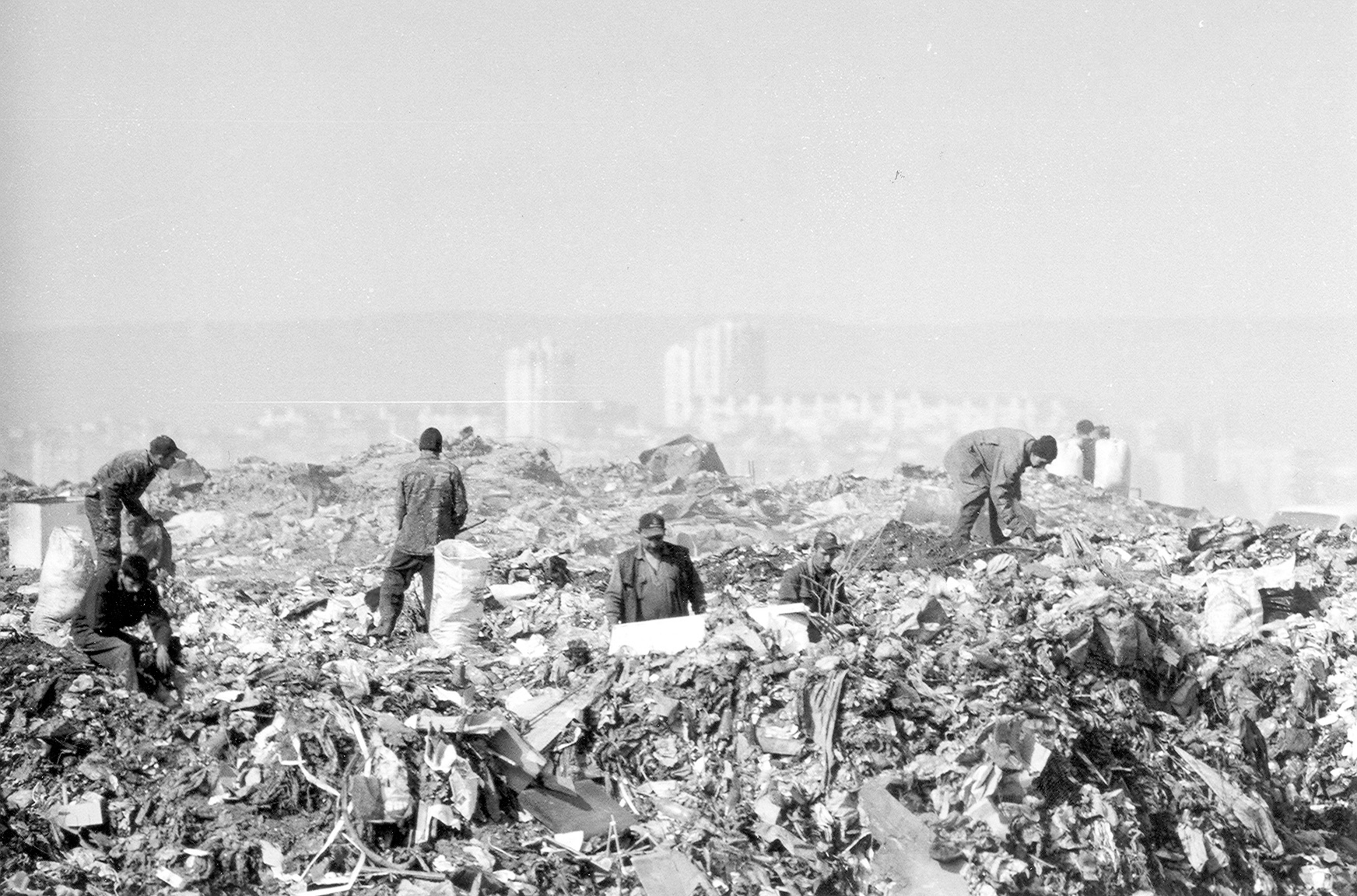 Министерство экологии продолжает рейды по мусорным свалкам Баку
