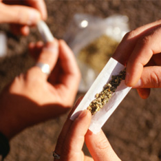У жителя Гянджи изъято около полукилограмма марихуаны
