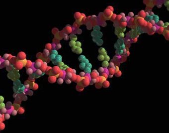 Создан искусственный аналог ДНК