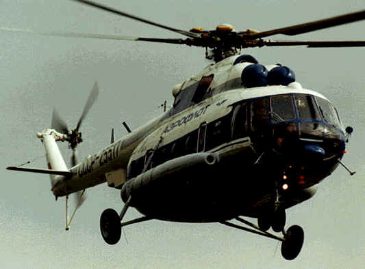 На территории Ирана планируется организовать лицензионное производство российских вертолетов