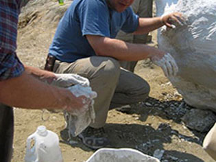 Иностранные палеонтологи работают в Мараге