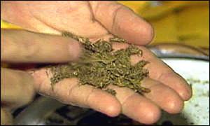 В Сабаильском районе у мужчины изъяли 0,5 кг марихуаны