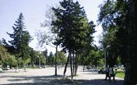 Началась реконструкция парков им. Самеда Вургуна и «Мугам»