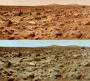 На Марсе можно выращивать спаржу
