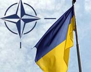 На Украине пройдут акции против НАТО и украинско-американских военных учений