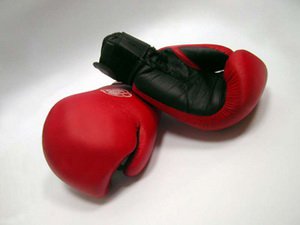 Сдан в эксплуатацию Южный региональный центр обучения боксу
