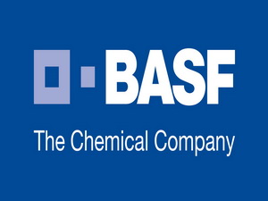 Немецкая BASF налаживает сотрудничество с ПО «Азерикимья»