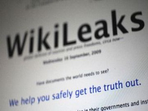 Cайт WikiLeaks обвалил «хактивист добра»