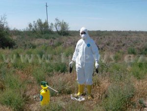 В Азербайджане обнаружен «птичий грипп»