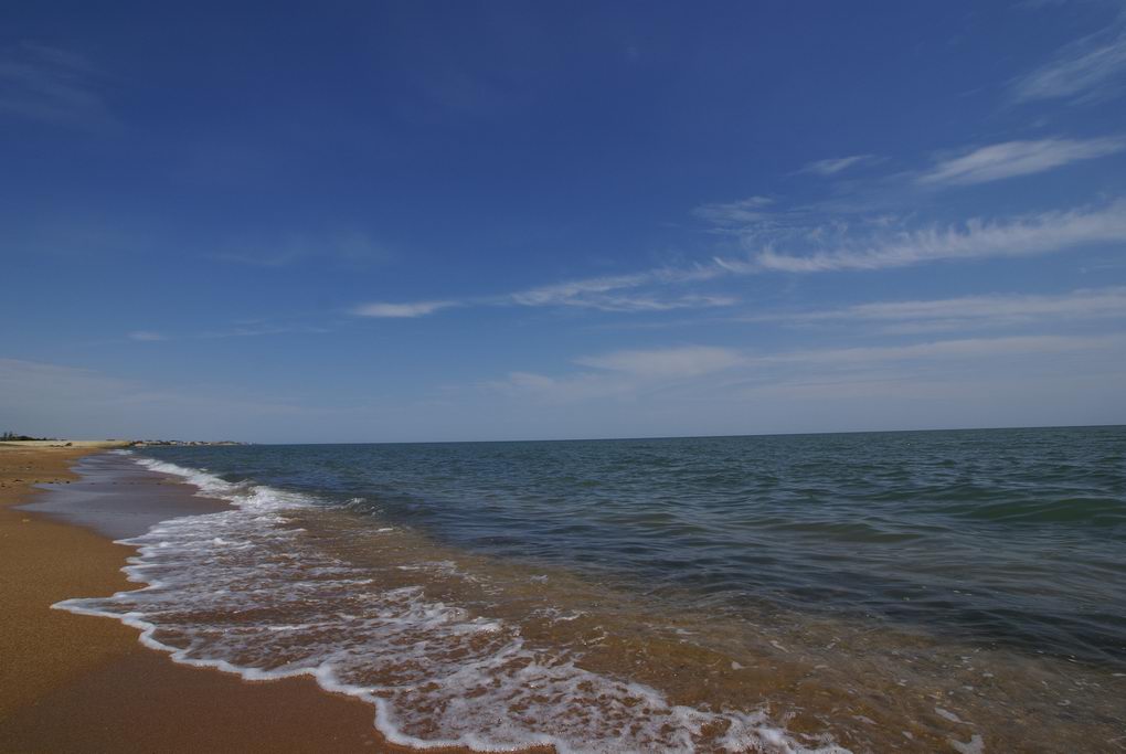 Каспийский берег. Золотые Пески Каспийское море. Южный берег Каспийского моря. Золотые Пески Дербент море. Взморье Каспийского моря.