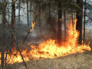 В конце 2010 года в Азербайджане выросло число пожаров