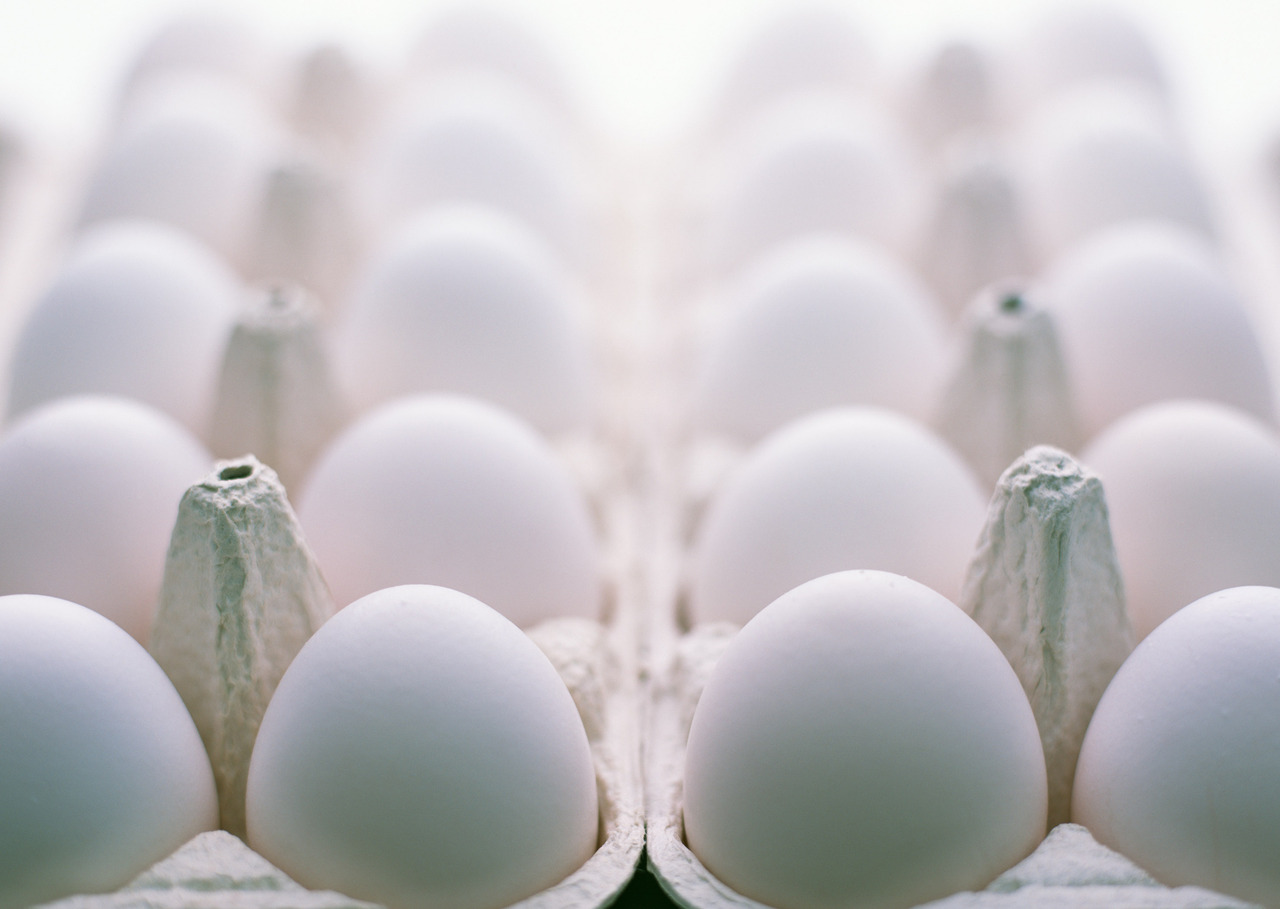 Привкус яиц. Яйцо куриное белое подложное. Яйцо белое красивое фото. Яйцо ангела обои.