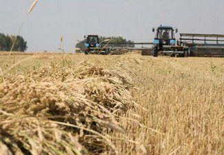 По неофициальным данным, в Иран приостановлены поставки зерна
