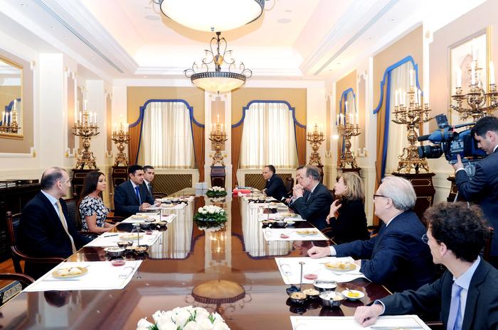 Мехрибан Алиева приняла делегацию из Франции - ФОТО