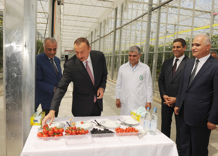 Президент Азербайджана ознакомился с парниковым комплексом, принадлежащим «Азерсун Холдинг» - ФОТО