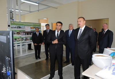 Президент Азербайджана принял участие в открытии комплекса зернохранилища и мельницы в Шеки - ФОТО