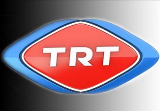 Телеканал TRT покажет передачи, посвященные событиям 20 января