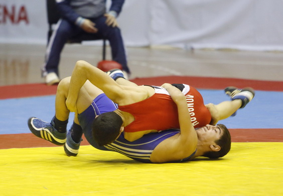 Азербайджанские борцы примут участие в международном турнире памяти Яшара Догу