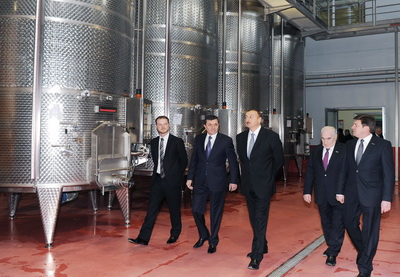 Ильхам Алиев принял участие в открытии завода по переработке винограда в Габале - ФОТО