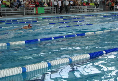 Азербайджанские пловцы завоевали 29 золотых медалей на международном турнире в Мингячевире