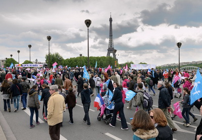 Акция противников однополых браков в Париже закончилась беспорядками