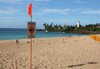 Туристка из Германии, у которой акула откусила руку на Гавайях, умерла