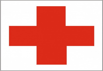 Красный Крест просит запретить пытки в компьютерных играх