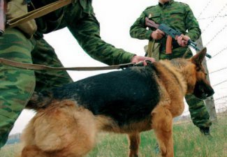 В марте Погранслужба Азербайджана пресекла 63 попытки перевозки контрабанды