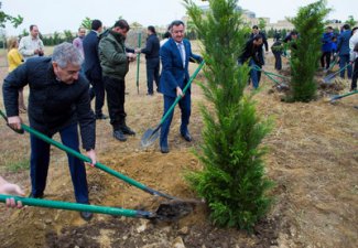 Состоялась акция по посадке деревьев, посвященная 91-й годовщине со дня рождения Общенационального лидера Гейдара Алиева