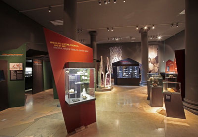 «Ухо ван Гога» с генным материалом выставлено в Германии