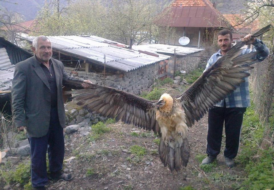 Двое азербайджанских мужчин и один орел: охота или убийство?