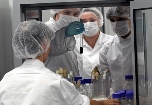 Учёные обнаружили паразита, способного заразить человека раком