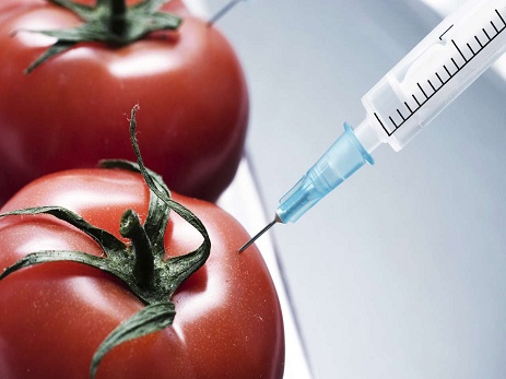 Azərbaycan ərazisində GMO toxumlardan istifadə vəziyyəti yoxlanılacaq