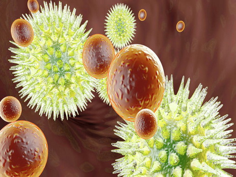 Ученые назвали одну из главных угроз для человечества