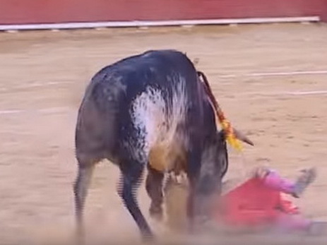 В Испании впервые за 30 лет бык насмерть забодал тореадора - ВИДЕО