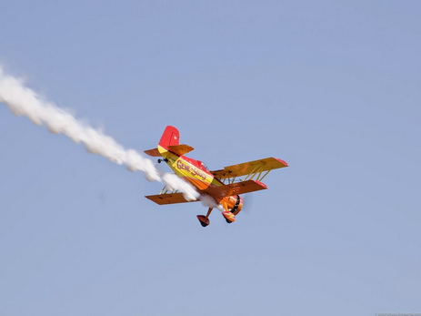 Пилот сгорел в самолёте на авиашоу в Германии