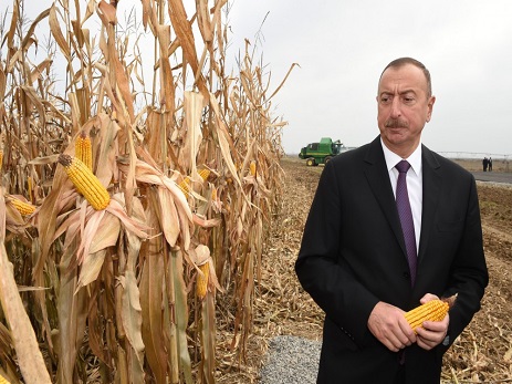 Prrezident İlham Əliyev özəl pilot taxılçılıq təsərrüfatının fəaliyyəti ilə tanış olub – FOTO