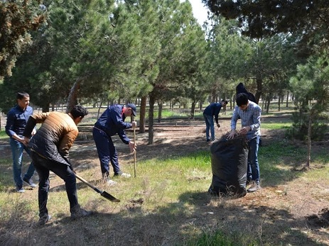 Səbail rayonundakı  “Dostluq parkı”nın ərazisində böyük iməcilik keçirilib – FOTO